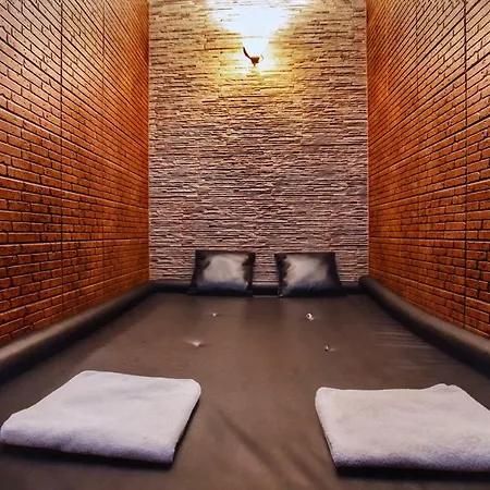 Hotel Fortuna-3