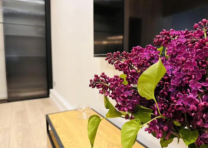 Freedom Apartments In The Heart Of Lviv - Balabana Str And Svoboda Avenue